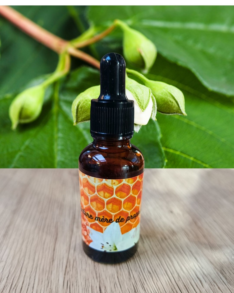 Teinture mère de propolis